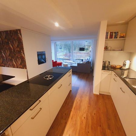 Ebikon Neue Wohnung An Stadtrand Mit Parkplatz מראה חיצוני תמונה