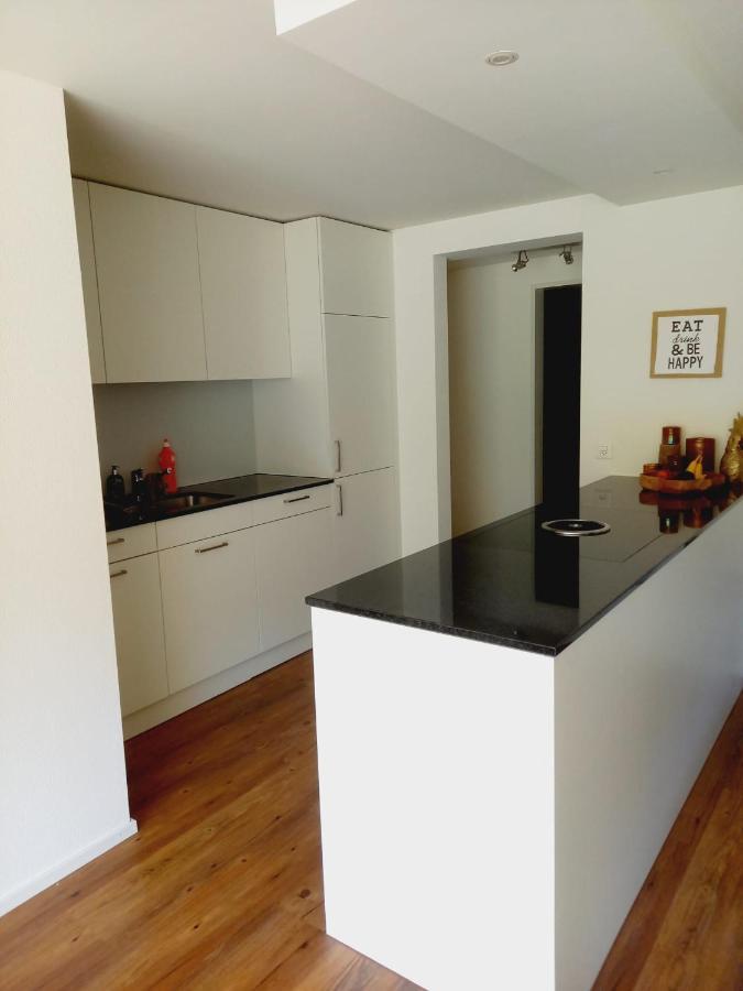 Ebikon Neue Wohnung An Stadtrand Mit Parkplatz מראה חיצוני תמונה
